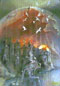 "Welt unter Feuer" 70x100cm Pastell/Mischtechnik